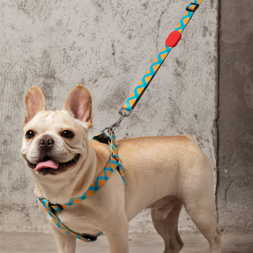 HiDREAM Soft Dog Adjustable Polyester Leash