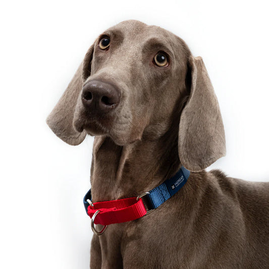HiDREAM Dog Explosion-proof Impact Adjustable Soft Nylon Collar