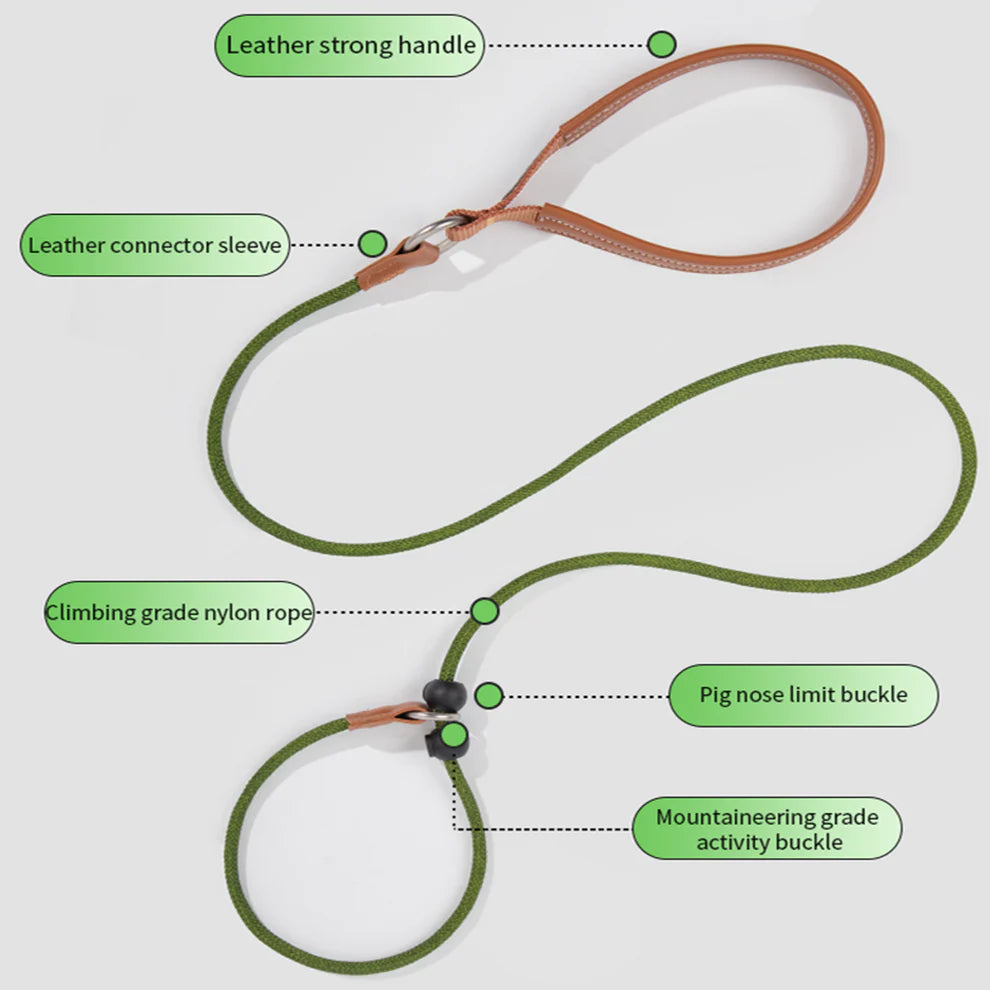 HiDREAM Dog Explosion-proof Impact Nylon Leash P Chain