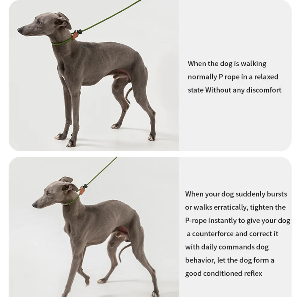 HiDREAM Dog Explosion-proof Impact Nylon Leash P Chain