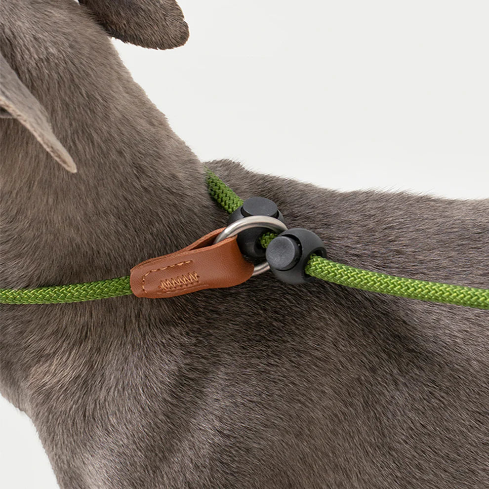 HiDREAM Dog Explosion-proof Impact Nylon Leash P Chain