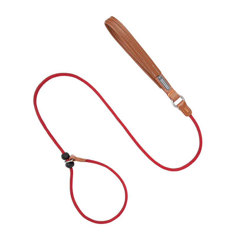 HiDREAM Dog Explosion-proof Impact Nylon Leash P Chain